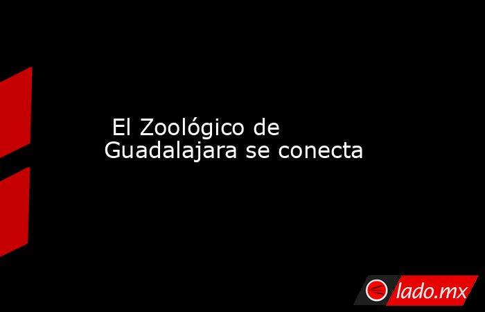  El Zoológico de Guadalajara se conecta. Noticias en tiempo real