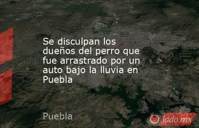 Se disculpan los dueños del perro que fue arrastrado por un auto bajo la lluvia en Puebla. Noticias en tiempo real