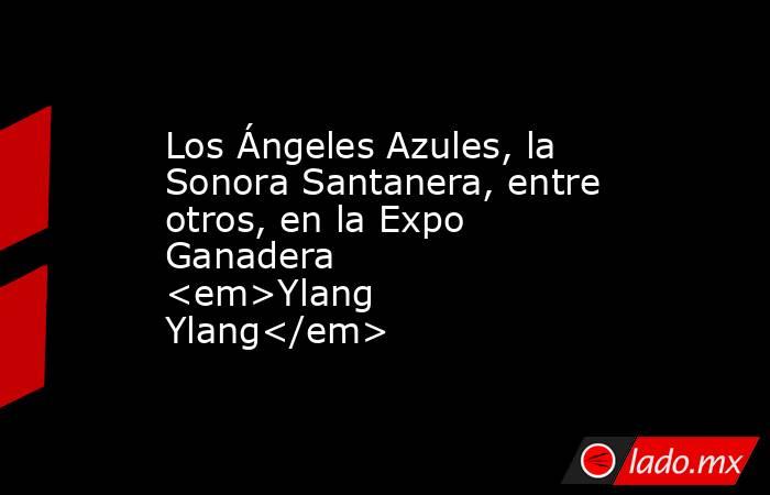 Los Ángeles Azules, la Sonora Santanera, entre otros, en la Expo Ganadera <em>Ylang Ylang</em>. Noticias en tiempo real
