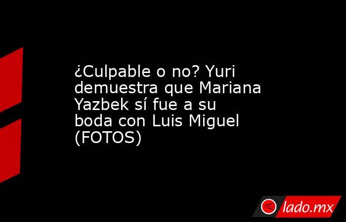 ¿Culpable o no? Yuri demuestra que Mariana Yazbek sí fue a su boda con Luis Miguel (FOTOS). Noticias en tiempo real