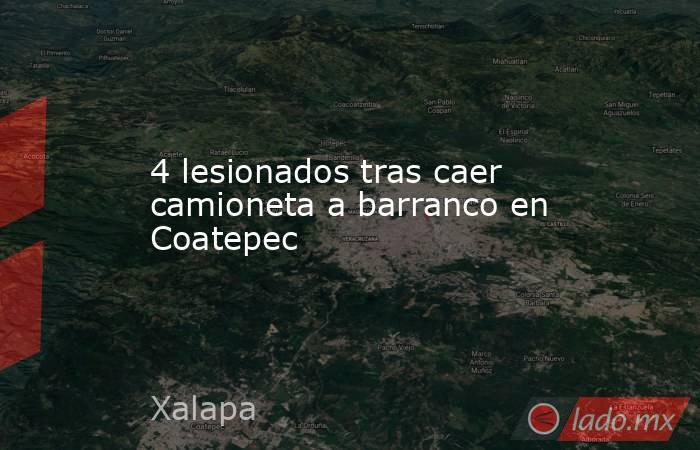4 lesionados tras caer camioneta a barranco en Coatepec. Noticias en tiempo real
