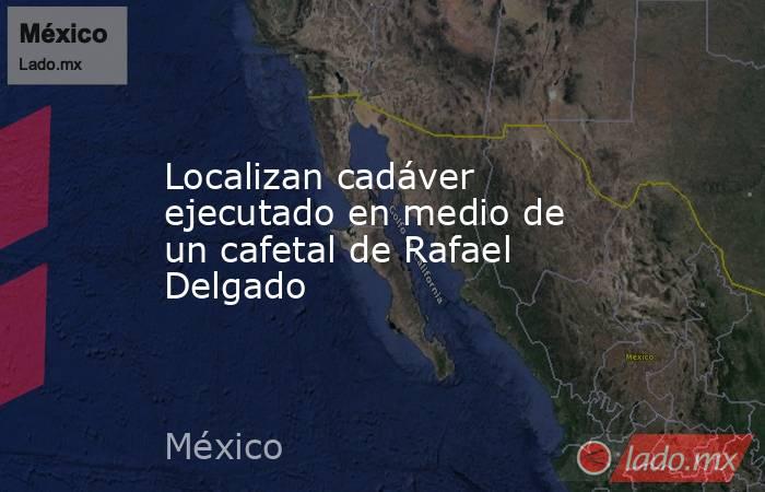Localizan cadáver ejecutado en medio de un cafetal de Rafael Delgado. Noticias en tiempo real