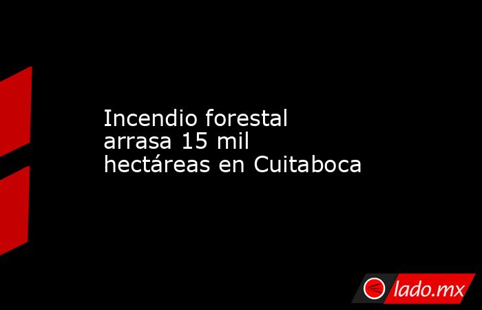 Incendio forestal arrasa 15 mil hectáreas en Cuitaboca. Noticias en tiempo real