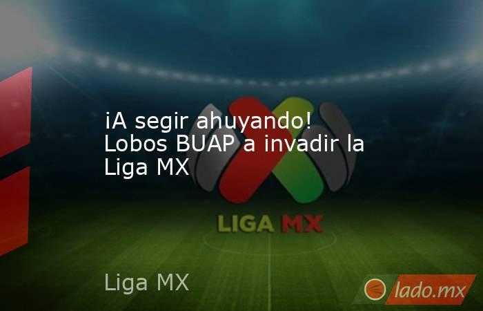 ¡A segir ahuyando! Lobos BUAP a invadir la Liga MX. Noticias en tiempo real