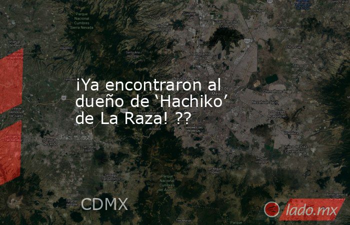 ¡Ya encontraron al dueño de ‘Hachiko’ de La Raza! ??. Noticias en tiempo real