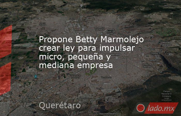 Propone Betty Marmolejo crear ley para impulsar micro, pequeña y mediana empresa. Noticias en tiempo real