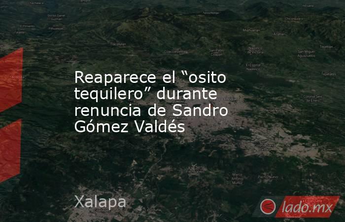 Reaparece el “osito tequilero” durante renuncia de Sandro Gómez Valdés. Noticias en tiempo real