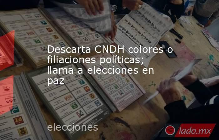 Descarta CNDH colores o filiaciones políticas; llama a elecciones en paz. Noticias en tiempo real