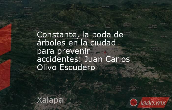 Constante, la poda de árboles en la ciudad para prevenir accidentes: Juan Carlos Olivo Escudero. Noticias en tiempo real