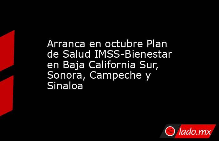 Arranca en octubre Plan de Salud IMSS-Bienestar en Baja California Sur, Sonora, Campeche y Sinaloa. Noticias en tiempo real