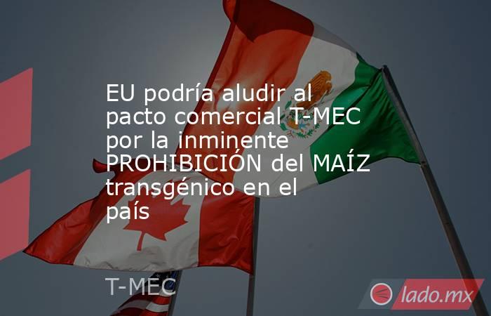EU podría aludir al pacto comercial T-MEC por la inminente PROHIBICIÓN del MAÍZ transgénico en el país. Noticias en tiempo real