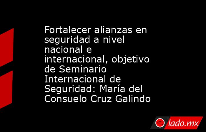 Fortalecer alianzas en seguridad a nivel nacional e internacional, objetivo de Seminario Internacional de Seguridad: María del Consuelo Cruz Galindo. Noticias en tiempo real