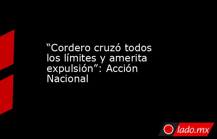 “Cordero cruzó todos los límites y amerita expulsión”: Acción Nacional. Noticias en tiempo real