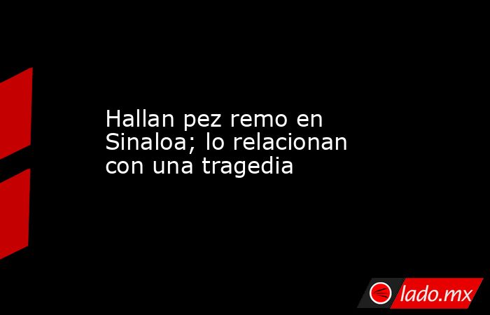 Hallan pez remo en Sinaloa; lo relacionan con una tragedia. Noticias en tiempo real