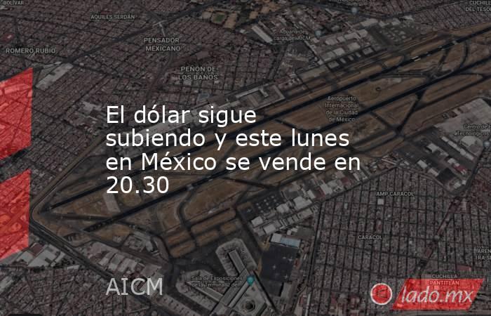 El dólar sigue subiendo y este lunes en México se vende en 20.30. Noticias en tiempo real