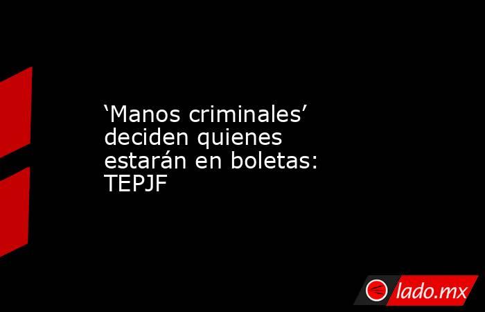 ‘Manos criminales’ deciden quienes estarán en boletas: TEPJF. Noticias en tiempo real