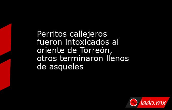 Perritos callejeros fueron intoxicados al oriente de Torreón, otros terminaron llenos de asqueles
. Noticias en tiempo real