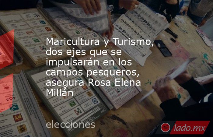 Maricultura y Turismo, dos ejes que se impulsarán en los campos pesqueros, asegura Rosa Elena Millán. Noticias en tiempo real