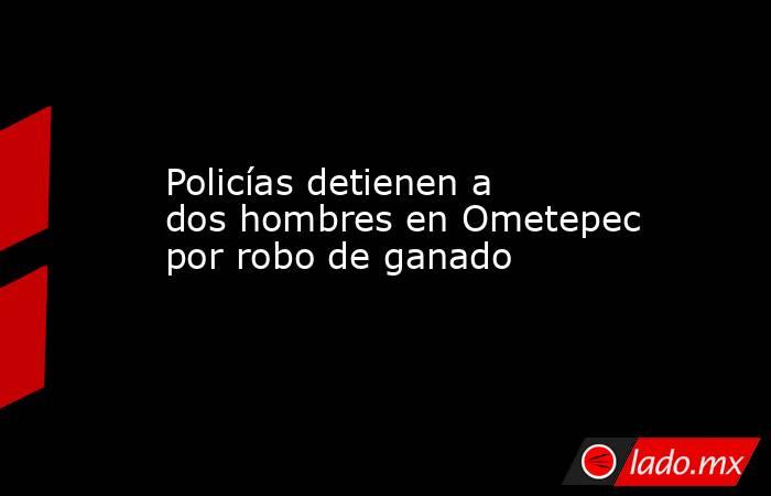 Policías detienen a dos hombres en Ometepec por robo de ganado. Noticias en tiempo real