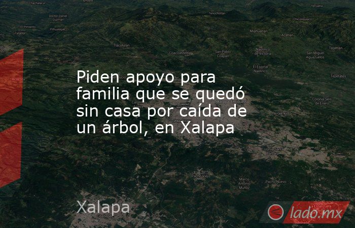 Piden apoyo para familia que se quedó sin casa por caída de un árbol, en Xalapa. Noticias en tiempo real