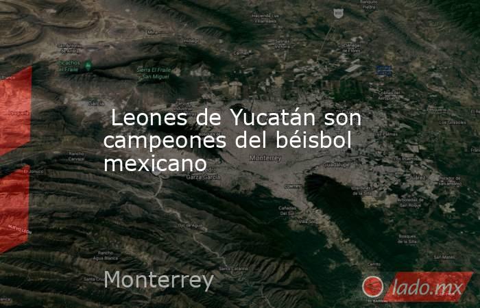  Leones de Yucatán son campeones del béisbol mexicano. Noticias en tiempo real