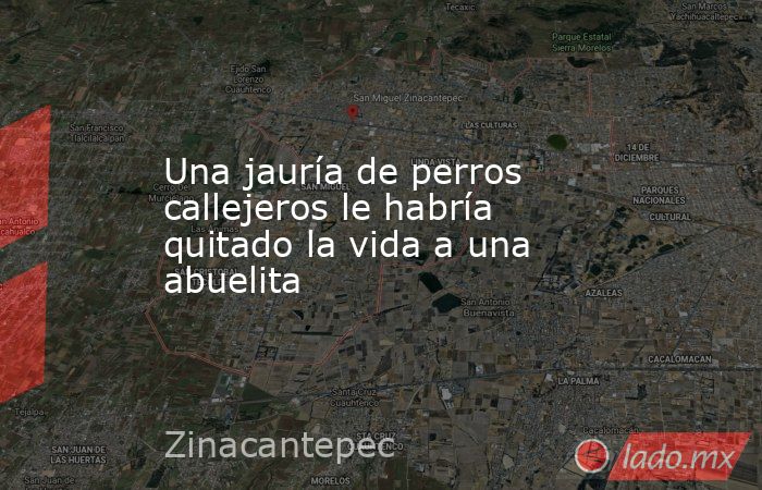 Una jauría de perros callejeros le habría quitado la vida a una abuelita. Noticias en tiempo real