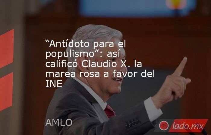 “Antídoto para el populismo”: así calificó Claudio X. la marea rosa a favor del INE. Noticias en tiempo real