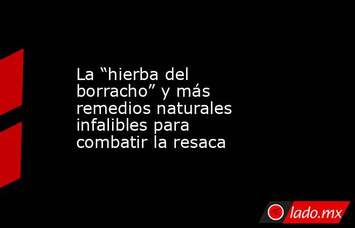 Hierbas Milenarias para Combatir la Resaca: Un Botiquín Natural Después de la Fiesta