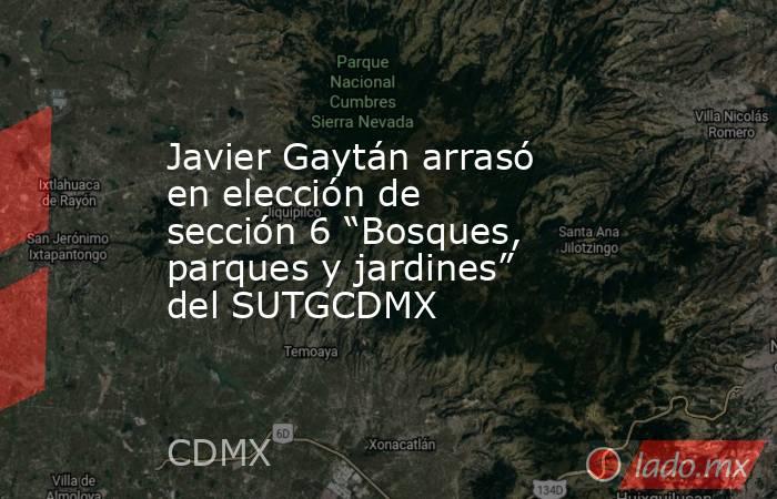 Javier Gaytán arrasó en elección de sección 6 “Bosques, parques y jardines” del SUTGCDMX. Noticias en tiempo real