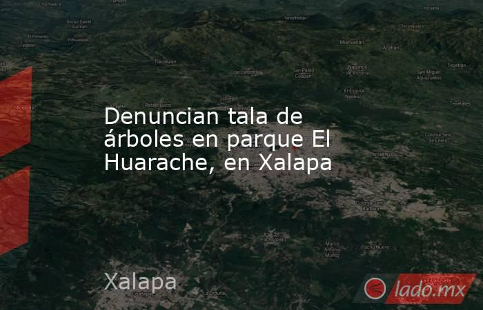 Denuncian tala de árboles en parque El Huarache, en Xalapa. Noticias en tiempo real