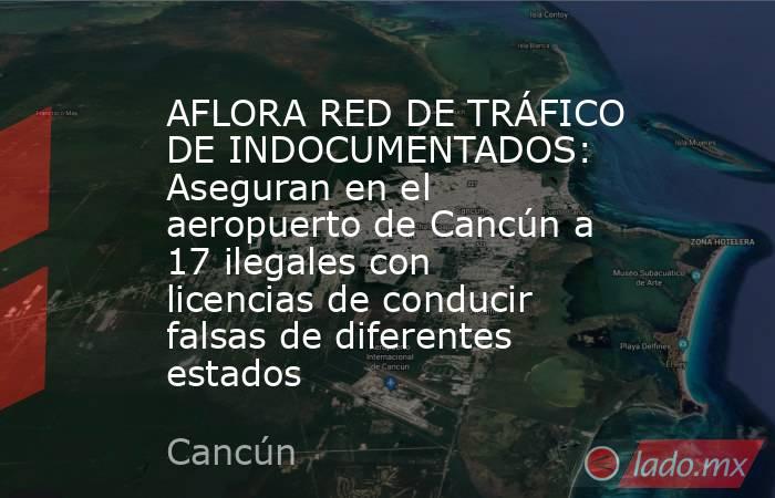 AFLORA RED DE TRÁFICO DE INDOCUMENTADOS: Aseguran en el aeropuerto de Cancún a 17 ilegales con licencias de conducir falsas de diferentes estados. Noticias en tiempo real