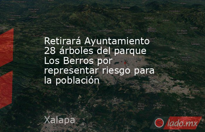 Retirará Ayuntamiento 28 árboles del parque Los Berros por representar riesgo para la población. Noticias en tiempo real