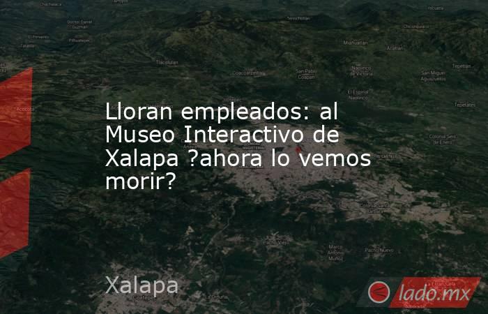 Lloran empleados: al Museo Interactivo de Xalapa ?ahora lo vemos morir?. Noticias en tiempo real
