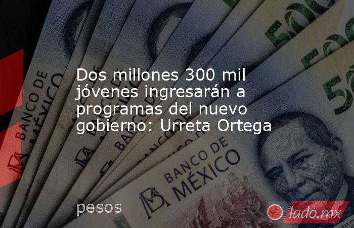 Dos millones 300 mil jóvenes ingresarán a programas del nuevo gobierno: Urreta Ortega. Noticias en tiempo real