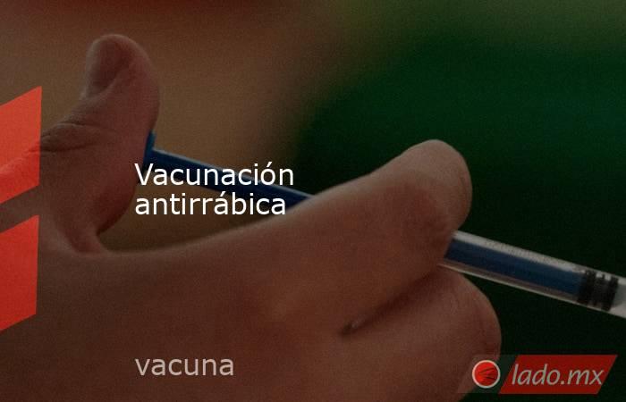 Vacunación antirrábica. Noticias en tiempo real