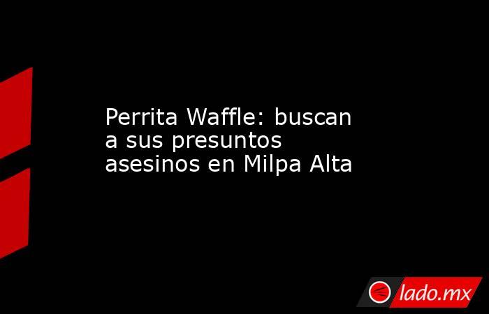 Perrita Waffle: buscan a sus presuntos asesinos en Milpa Alta. Noticias en tiempo real