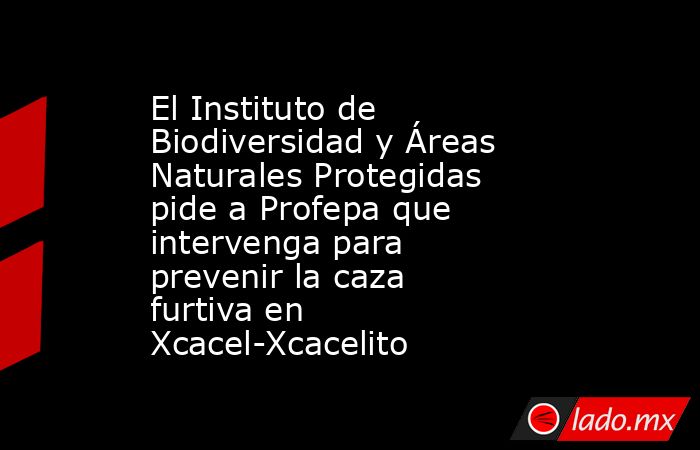 El Instituto de Biodiversidad y Áreas Naturales Protegidas pide a Profepa que intervenga para prevenir la caza furtiva en Xcacel-Xcacelito. Noticias en tiempo real