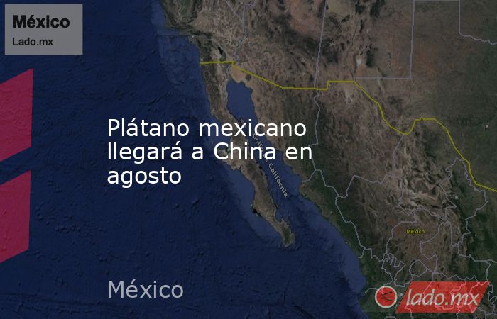 Plátano mexicano llegará a China en agosto. Noticias en tiempo real