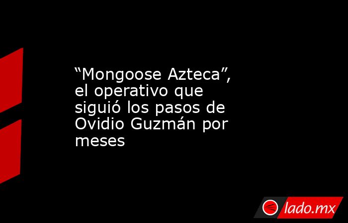 “Mongoose Azteca”, el operativo que siguió los pasos de Ovidio Guzmán por meses. Noticias en tiempo real