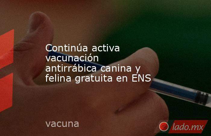 Continúa activa vacunación antirrábica canina y felina gratuita en ENS. Noticias en tiempo real