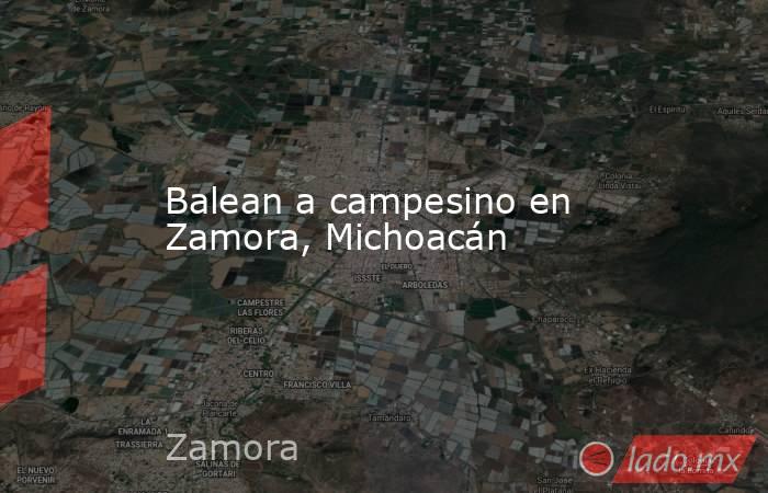 Balean a campesino en Zamora, Michoacán. Noticias en tiempo real