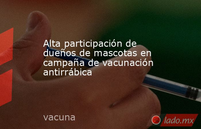 Alta participación de dueños de mascotas en campaña de vacunación antirrábica. Noticias en tiempo real