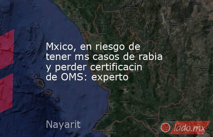 Mxico, en riesgo de tener ms casos de rabia y perder certificacin de OMS: experto. Noticias en tiempo real