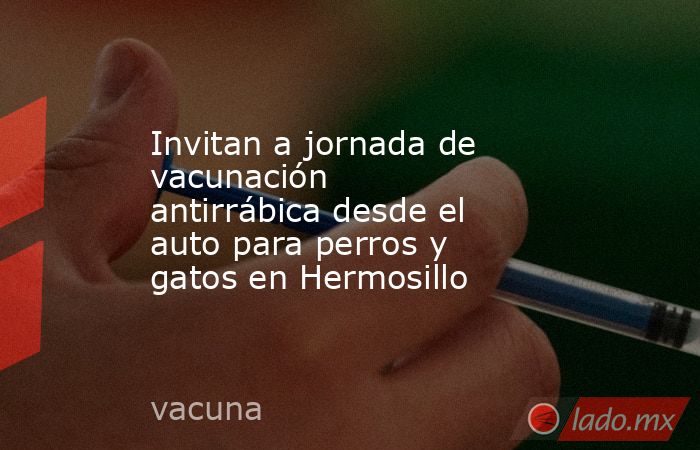 Invitan a jornada de vacunación antirrábica desde el auto para perros y gatos en Hermosillo. Noticias en tiempo real