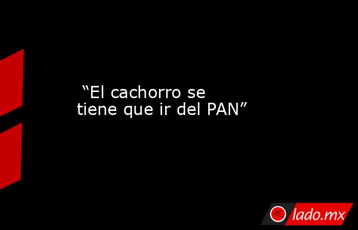  “El cachorro se tiene que ir del PAN”. Noticias en tiempo real