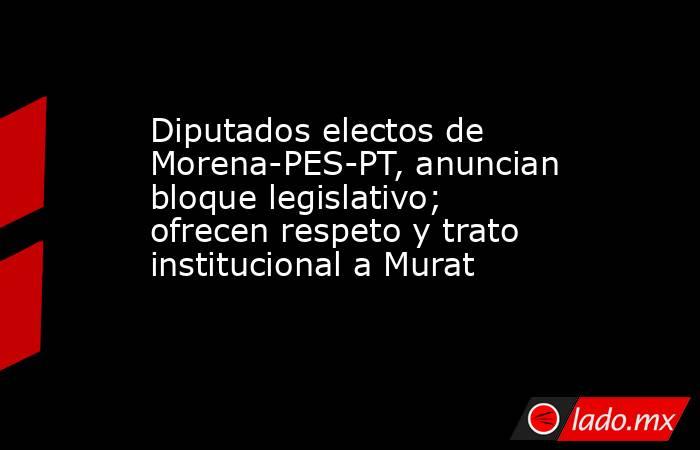 Diputados electos de Morena-PES-PT, anuncian bloque legislativo; ofrecen respeto y trato institucional a Murat. Noticias en tiempo real