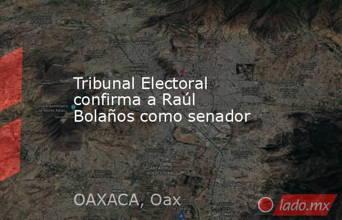 Tribunal Electoral confirma a Raúl Bolaños como senador. Noticias en tiempo real