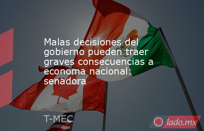 Malas decisiones del gobierno pueden traer graves consecuencias a economa nacional: senadora. Noticias en tiempo real