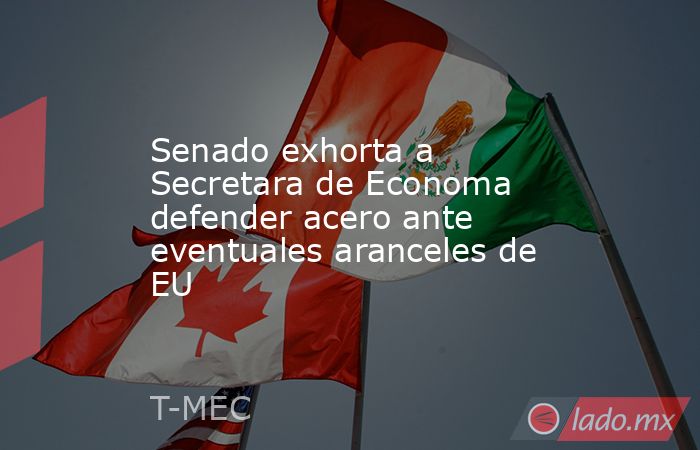 Senado exhorta a Secretara de Economa defender acero ante eventuales aranceles de EU. Noticias en tiempo real