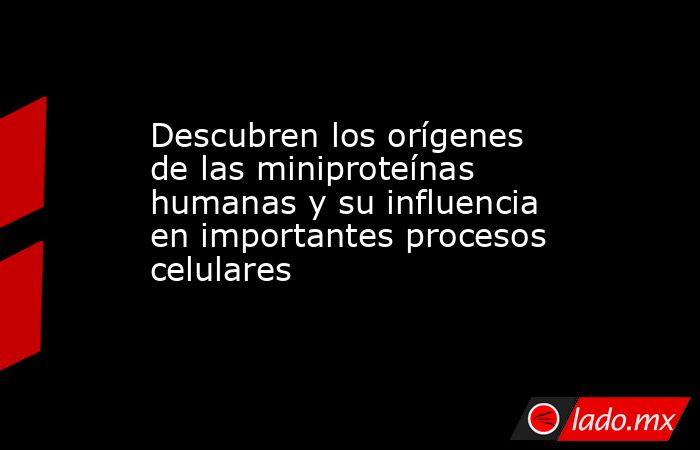 Descubren los orígenes de las miniproteínas humanas y su influencia en importantes procesos celulares. Noticias en tiempo real